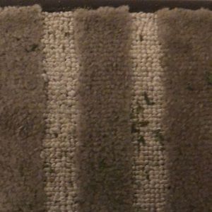 Meet your Posher, Ernesto